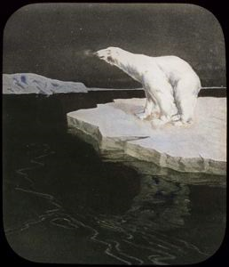 Image: Polar Bear on drift ice